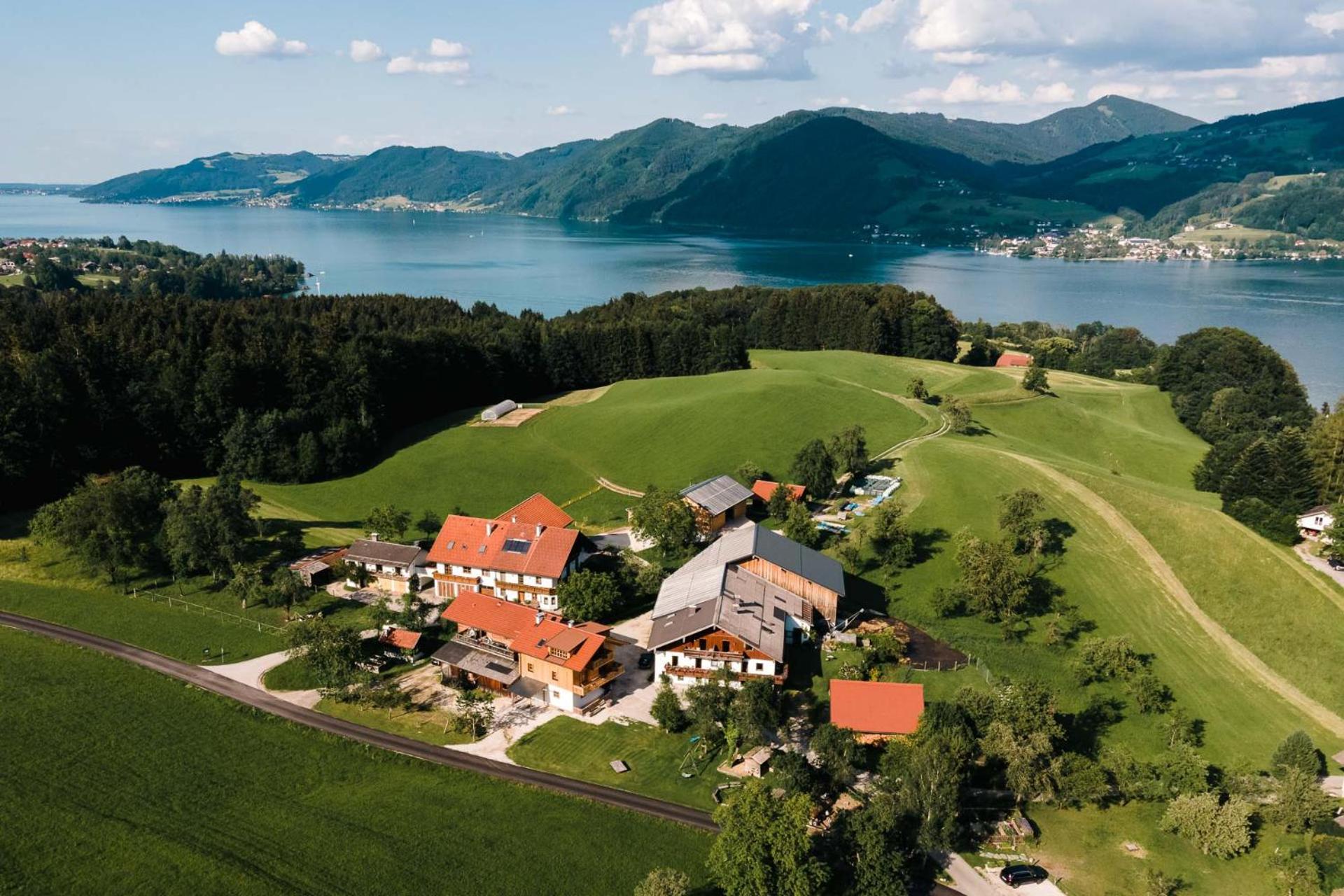 Ferienwohnung Grubinger Unterach am Attersee Εξωτερικό φωτογραφία