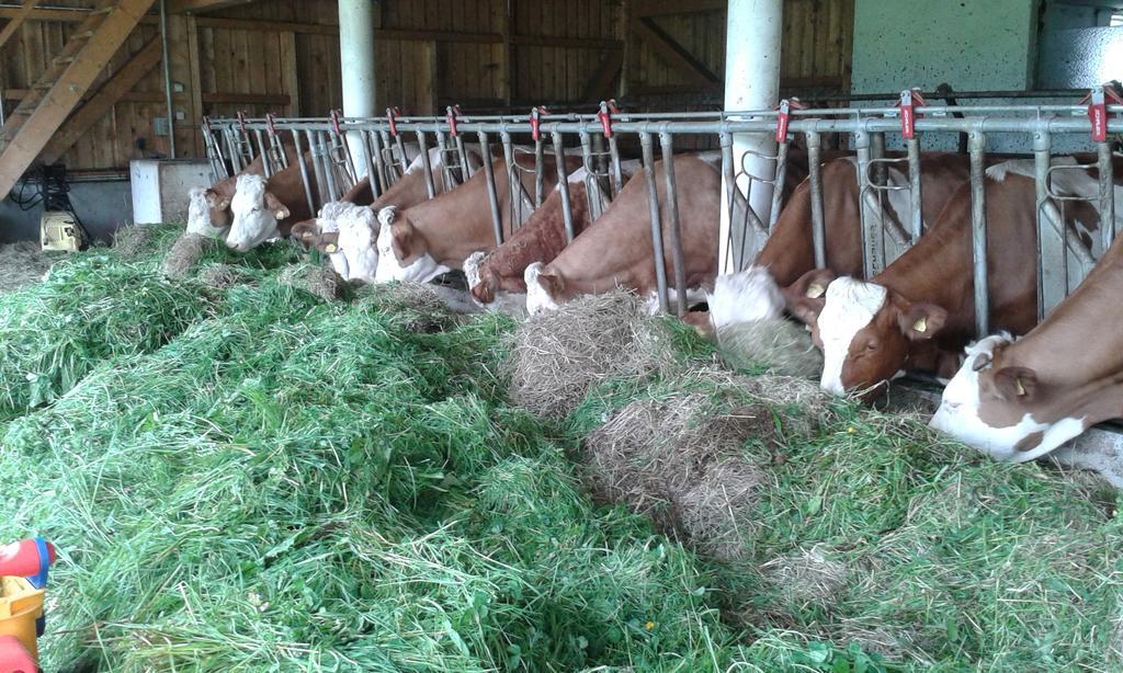 Ferienwohnung Grubinger Unterach am Attersee Εξωτερικό φωτογραφία