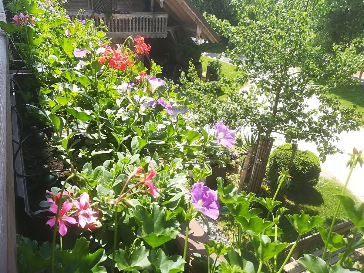 Ferienwohnung Grubinger Unterach am Attersee Εξωτερικό φωτογραφία