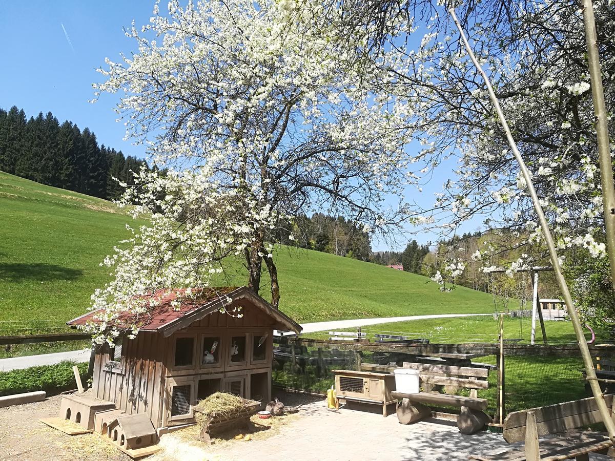 Ferienwohnung Grubinger Unterach am Attersee Εξωτερικό φωτογραφία